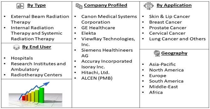 Radiotherapy Market Segment 