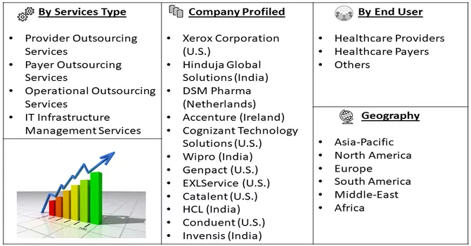 Healthcare Business Outsourcing Market Segment