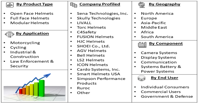 Video Smart Helmet Market Segment