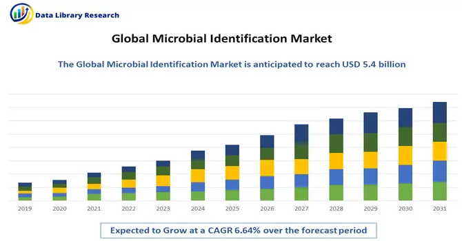 Microbial Identification Market 