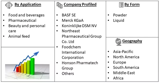 Ascorbic Acid Market Segment 