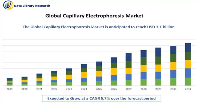 Capillary Electrophoresis Market 