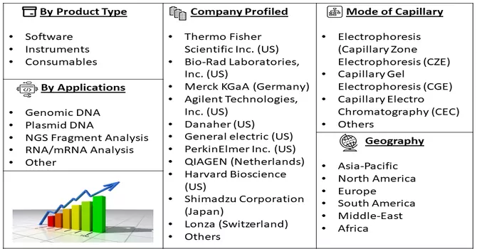 Capillary Electrophoresis Market Segment