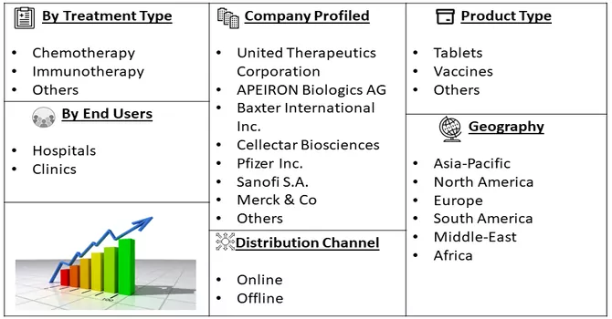 Neuroblastoma Market Segment