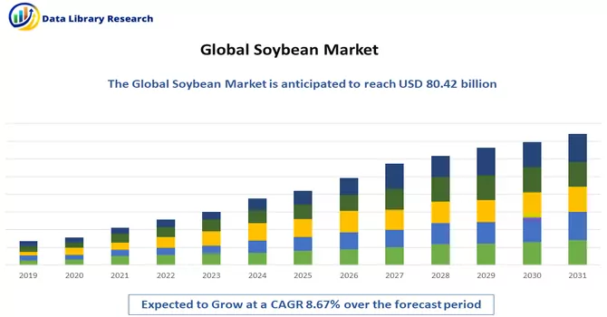 Soybean Market