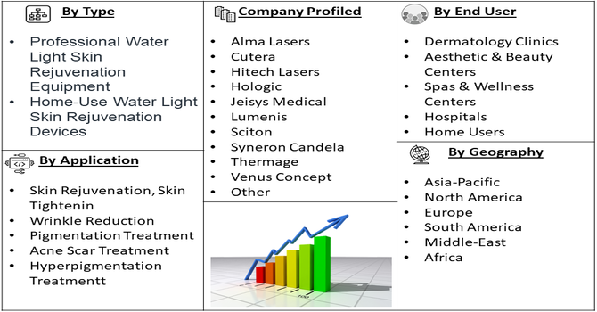 Water Light Skin Rejuvenation Equipment Market segment