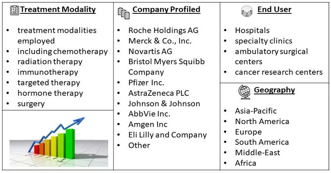 Cancer Treatment Market Segment