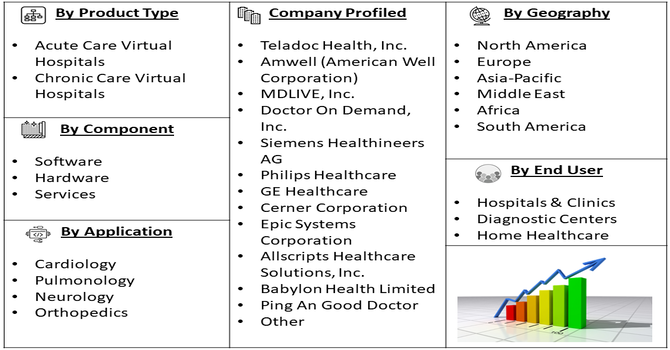 Virtual Hospital Market Segment