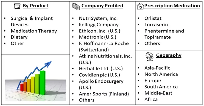 Obesity Treatment Market Segment