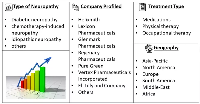 Peripheral Neuropathy Market Segment