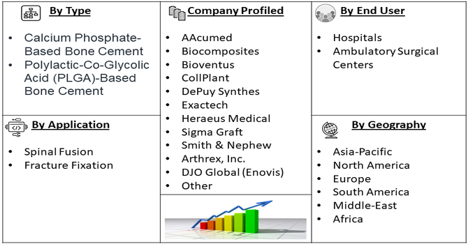 Synthetic Absorbable Bone Cement Market segment
