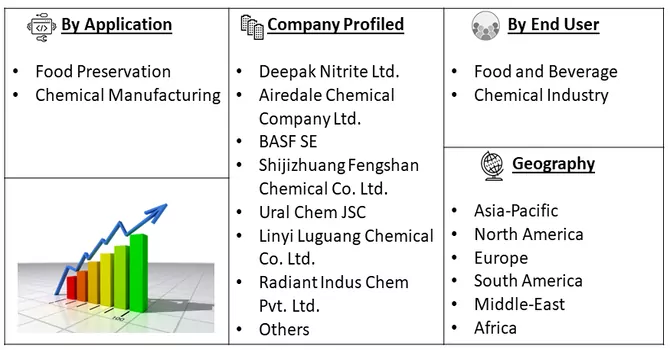 Sodium Nitrite Market Segment