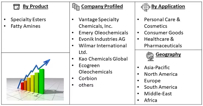 Oleochemical Market Segment 