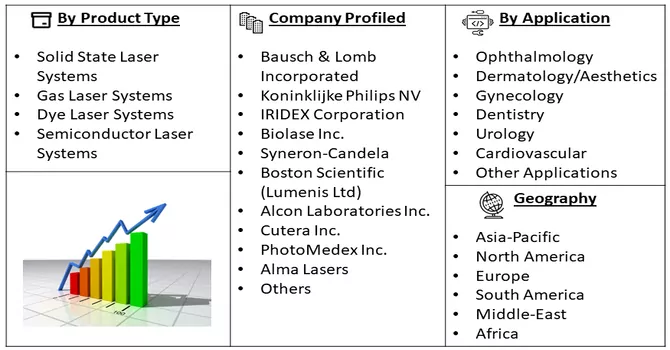  Medical Laser Market Segment 