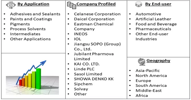 Ethyl Acetate Market Segment