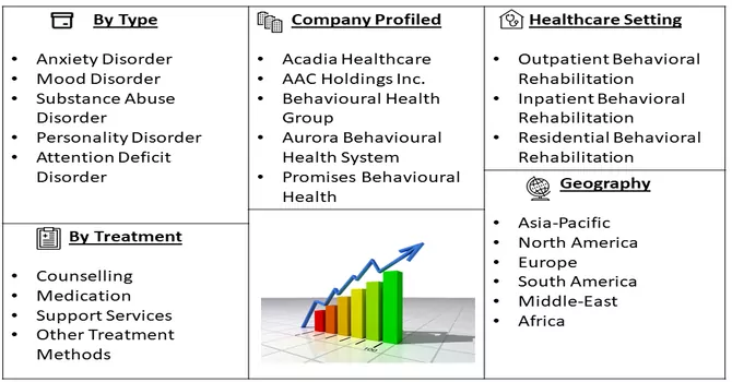 Behavioral Rehabilitation Market Segmentation