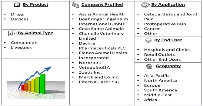  Veterinary Pain Management Market Segmentation