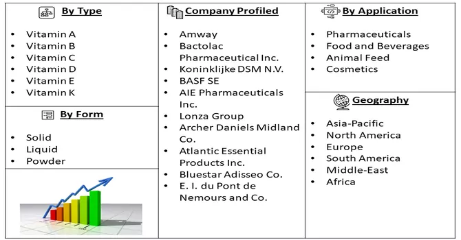 Vitamin Ingredients Market Segmentation