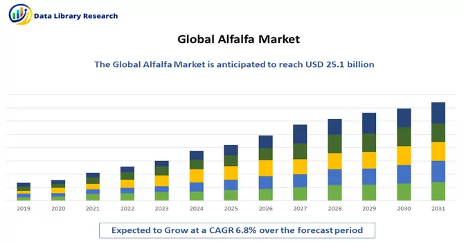 Alfalfa Market