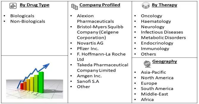 Orphan Drug Market Segmentation